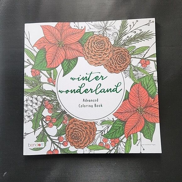 NEW Set 2 Adult Advanced Coloring Books Hello Winter Wonderland Elderly Senior - Picture 2 of 10